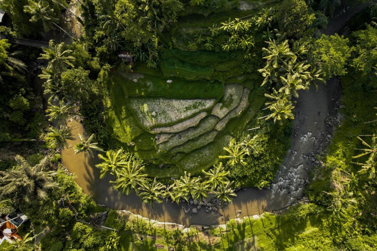 The Ridge Bali Villa Ubud Eksteriør bilde